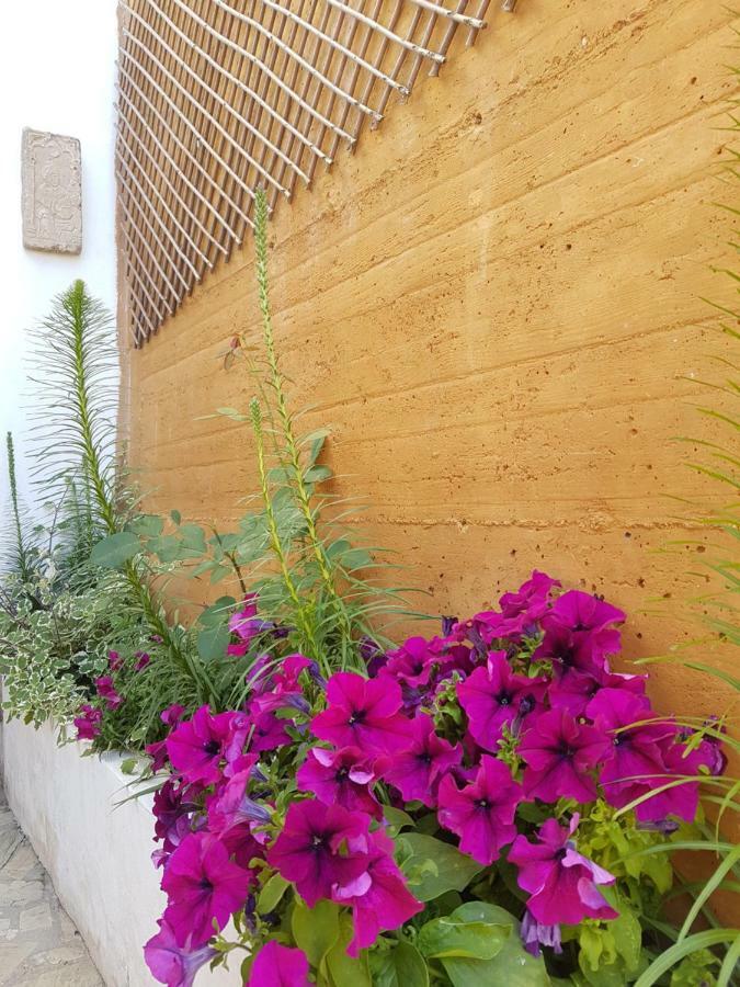 Tropical Andalusian Place Almunecar Exterior photo